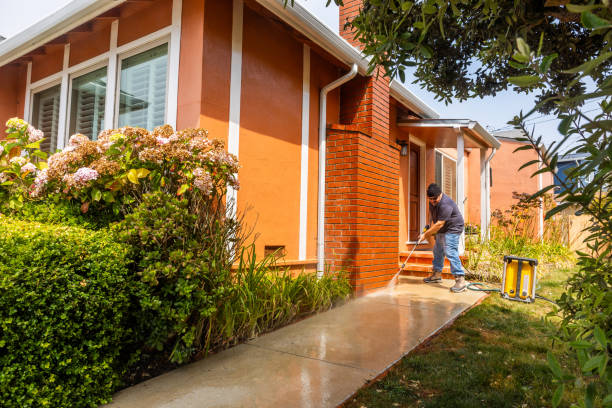 Best Deck Pressure Washing  in Hrison, AR