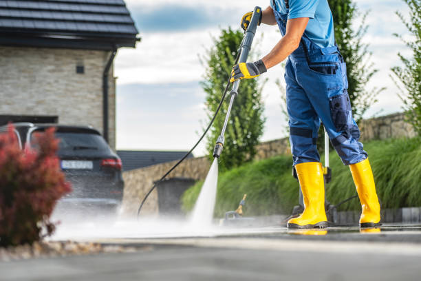 Best Pressure Washing Driveway  in Hrison, AR